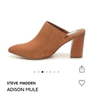 steve madden addison mule